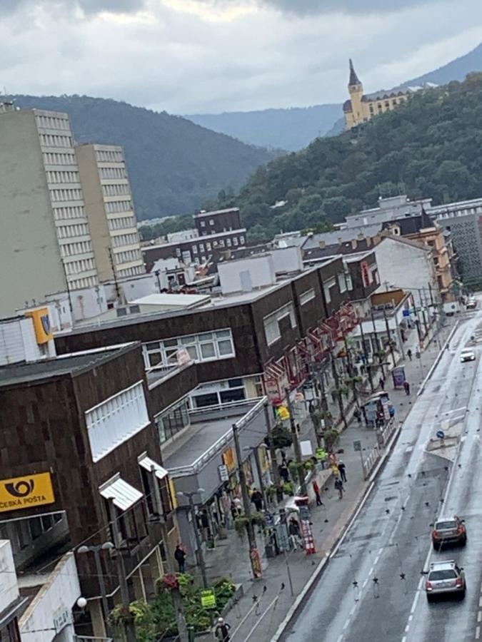 Apartman Centrum 403 Ústí nad Labem エクステリア 写真